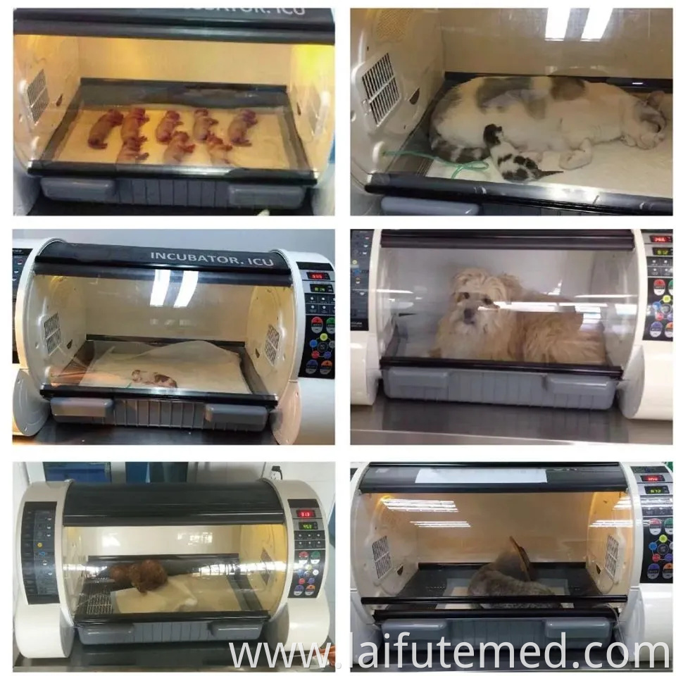 Portable Pet ICU Incubator with Oxygen Concentrator